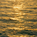 Ocean Air (POP - 84bpm - Gmaj)
