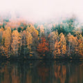 Seasons (POP - 88bpm -Dmaj)