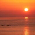 Sunset Ego (UKG POP - 132bpm - G#m)