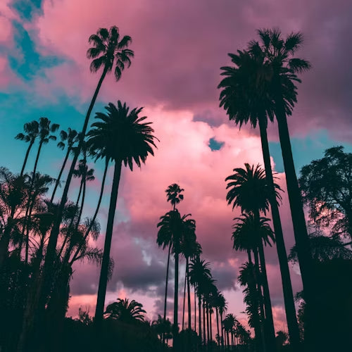 West Is The Best (HIPHOP - 94bpm - Em)